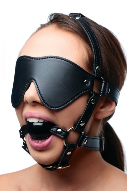 STRICT EYE MASK HARNESS W/ BALL GAG - Click Image to Close