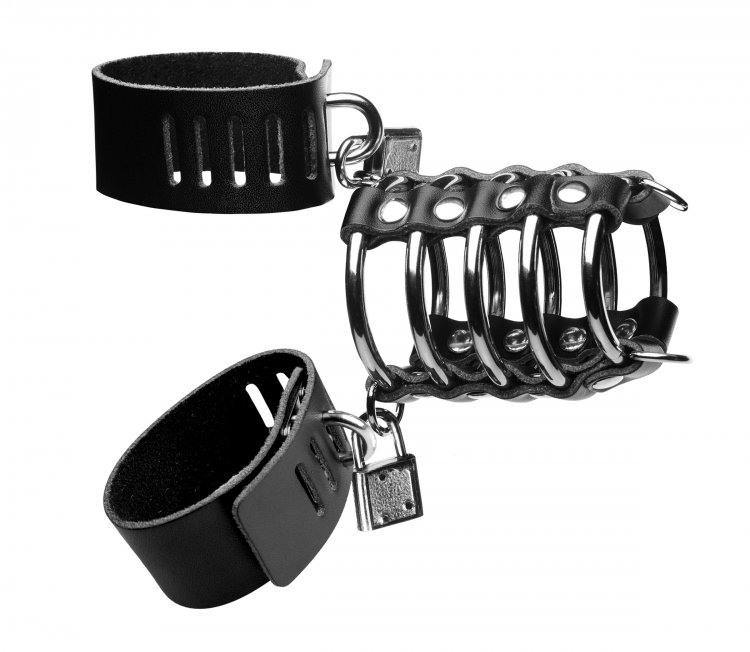 STRICT GATES OF HELL CHASTITY DEVICE - Click Image to Close