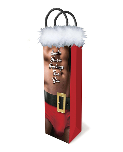 SANTA HAS A BIG PACKAGE FOR YOU GIFT BAG - Click Image to Close