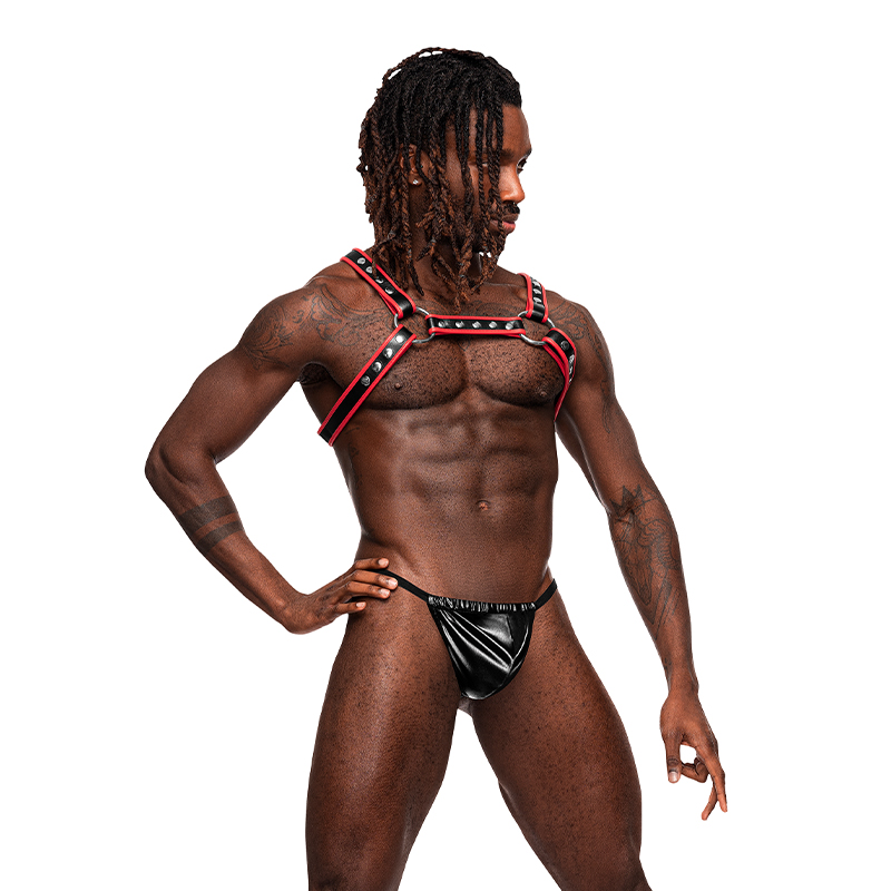 LEO LEATHER HARNESS BLACK/RED O/S - Click Image to Close