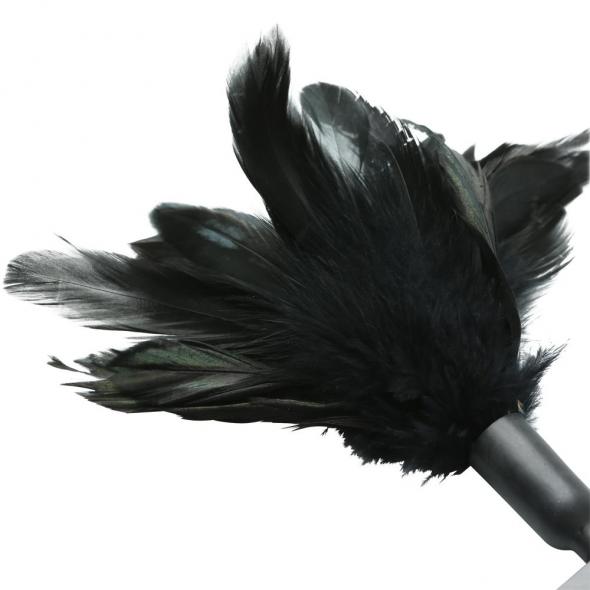 STARBURST FEATHER BLACK - Click Image to Close