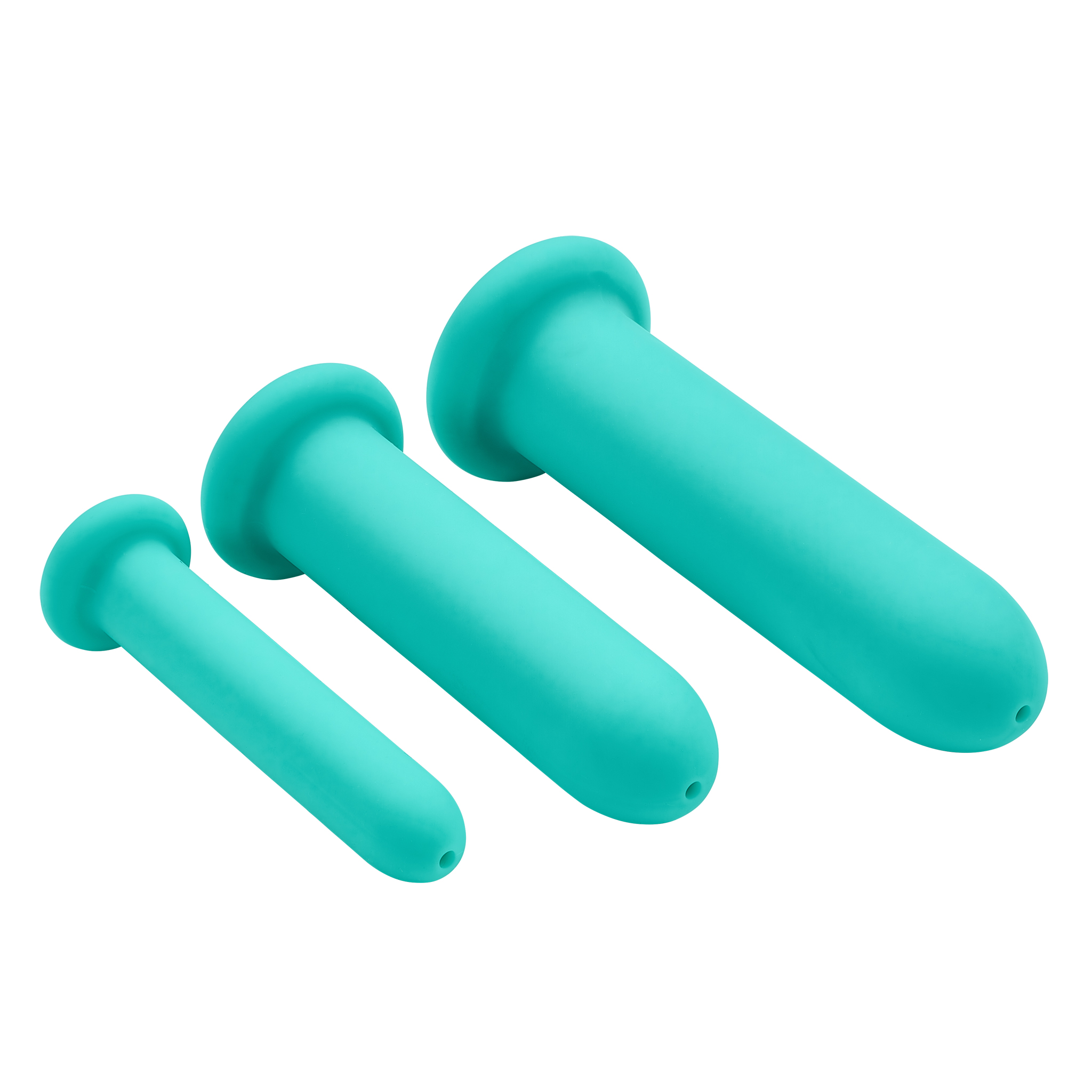 CLOUD 9 HEALTH & WELLNESS SILICONE DILATOR KIT (FOR VAGINAL OR ANAL USE) - Click Image to Close