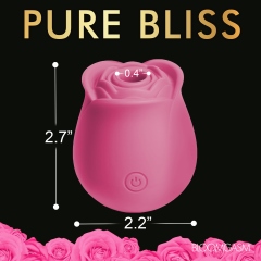 BLOOMGASM THE PERFECT ROSE CLIT STIMULATOR PINK - Click Image to Close