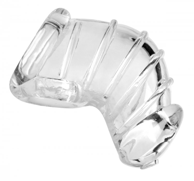 MASTER SERIES DETAINED CHASTITY CAGE - Click Image to Close